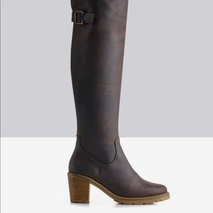 WIDE CALF!!! Ted & Muffy DUO Celestial Boots